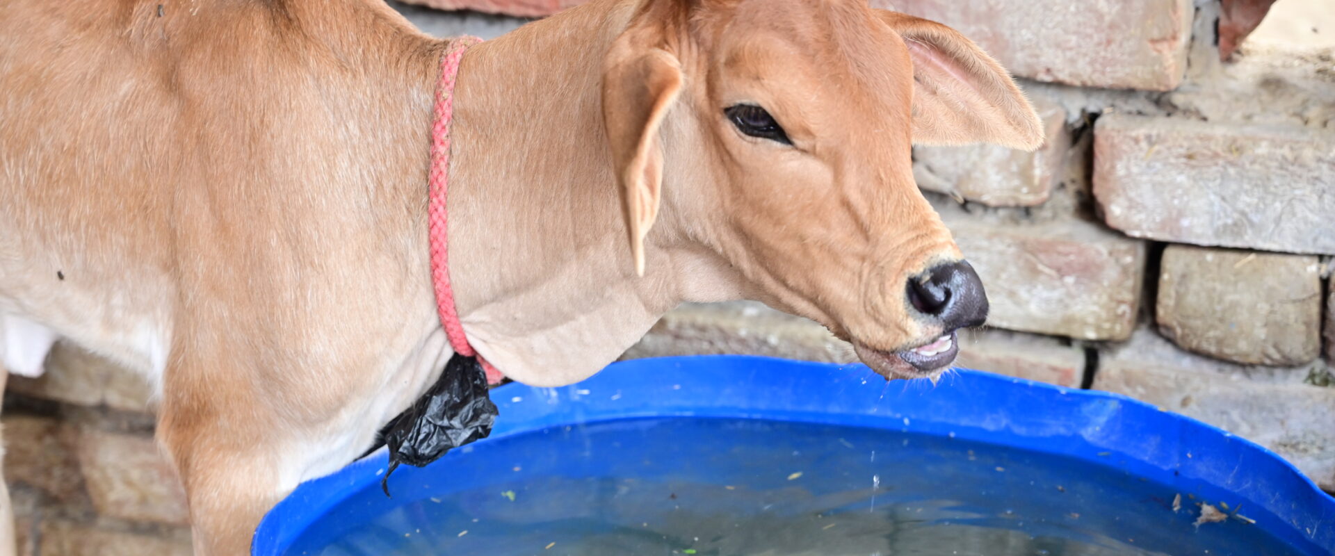 Permalink to: AN OVERVIEW