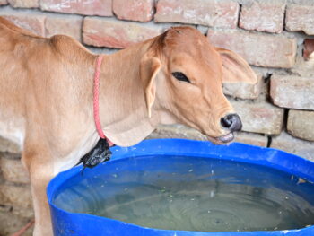 Permalink to: AN OVERVIEW