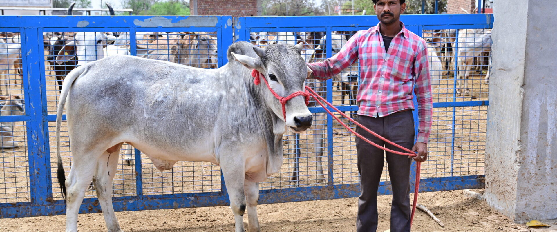 Permalink to: Our Mission